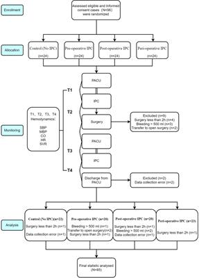 Pilot Study of Effects of Intermittent Pneumatic Compression in the Immediate Peri-Operative Period on Hemodynamic Parameters in Patients After Laparoscopic Gynecologic Surgery